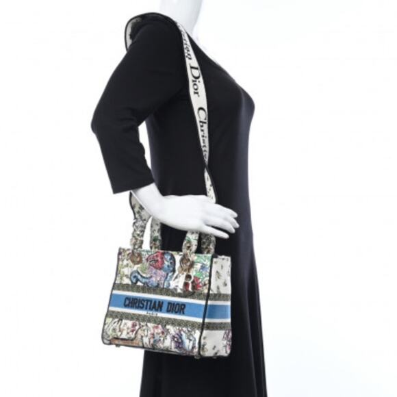 Christian Lady Dior NWT New Fabric Latte Embroidery Off-White Bag - Picture 16 of 16